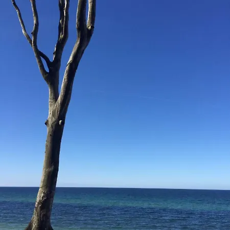 Aranka Aparthotel Ostseebad Nienhagen