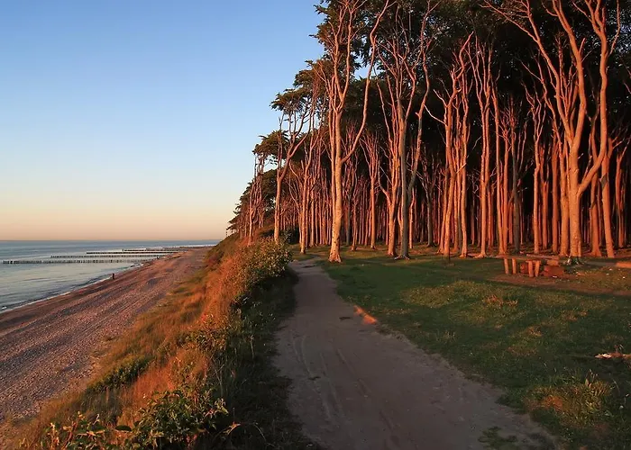 Aranka 아파트호텔 오스치바드 닌하겐