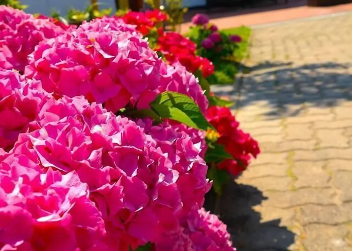 Aranka Appart hôtel